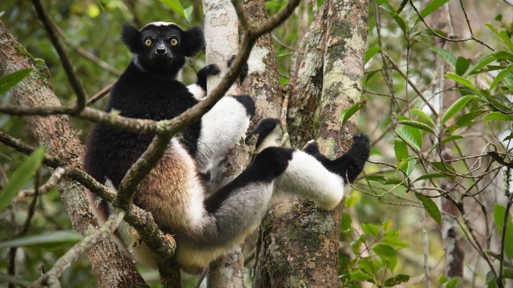 I parchi nazionali - Namatours viaggi solidali in Madagascar
